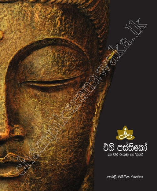ඒහි පස්සිකෝ 2011