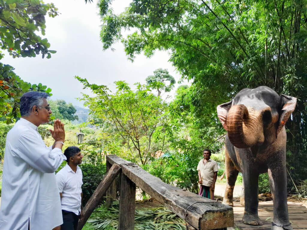 මාලිගාවේ ඇත්ගාල ජනතාවට විවෘත්ත කළ වගයි....